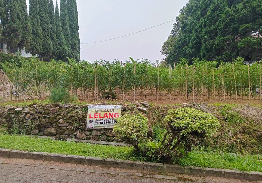 TANAH DI KAB. CIANJUR - NPL221-7 - foto 2